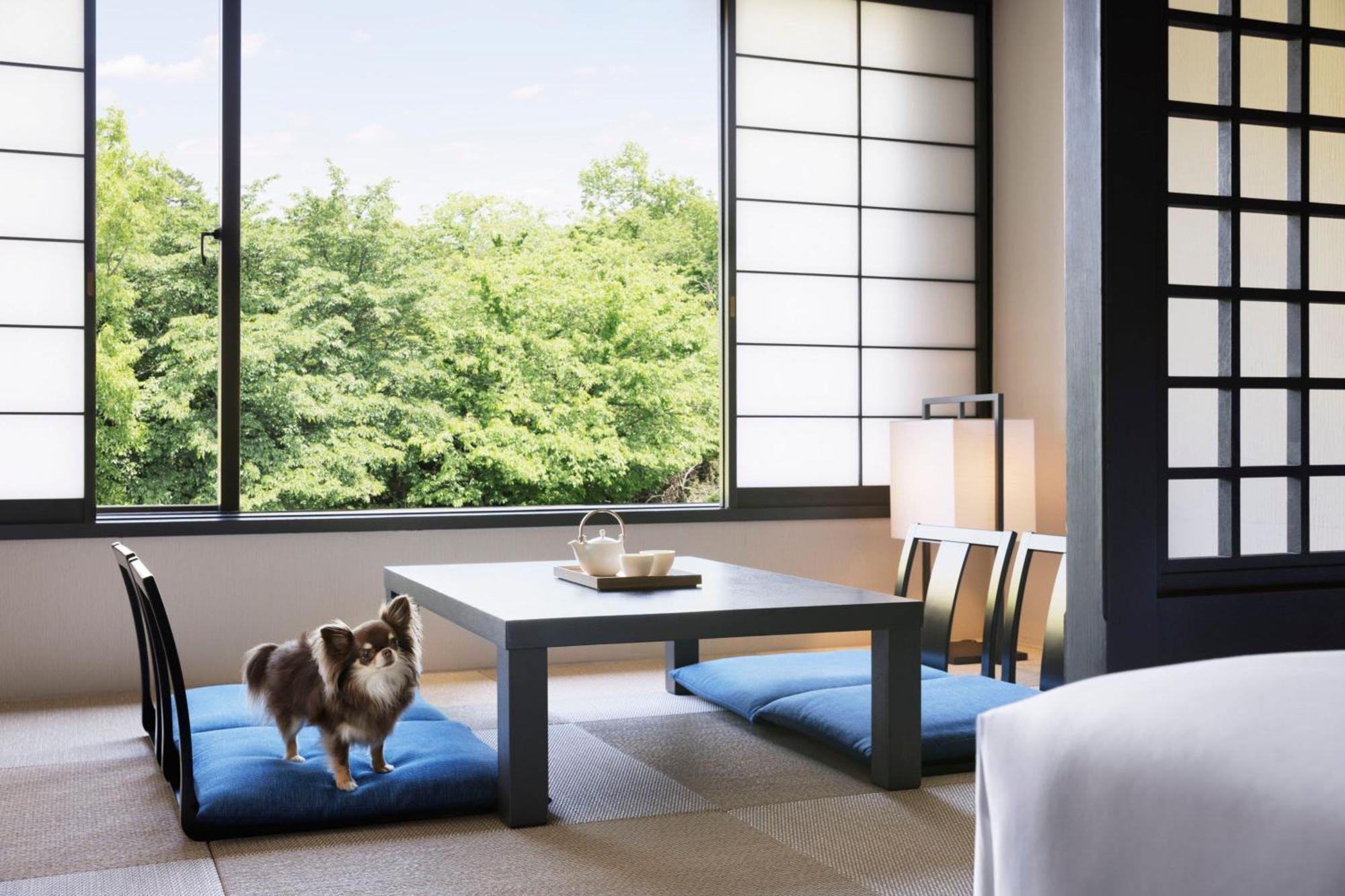 Izu Marriott Hotel Shuzenji Eksteriør bilde