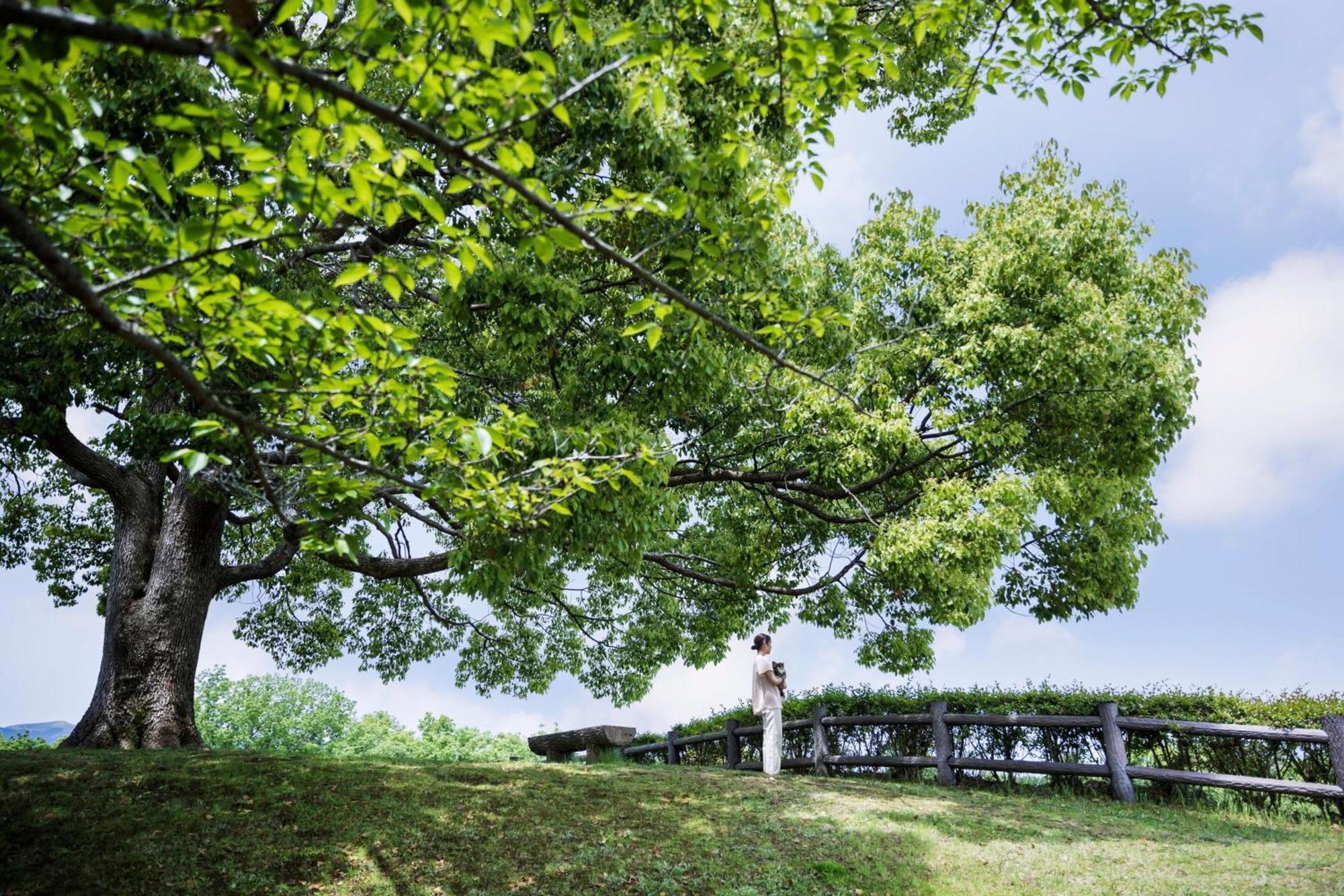 Izu Marriott Hotel Shuzenji Eksteriør bilde